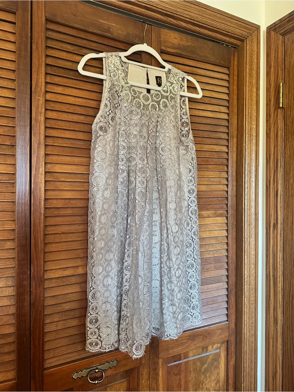 Sachin + Babi for Anthropologie Joyeux champagne silver metallic swing dress - Picture 5 of 11